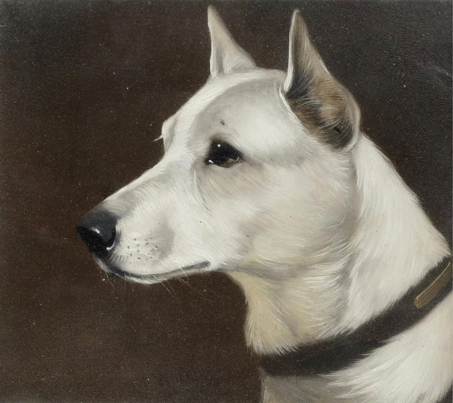 Customize your pet's portrait