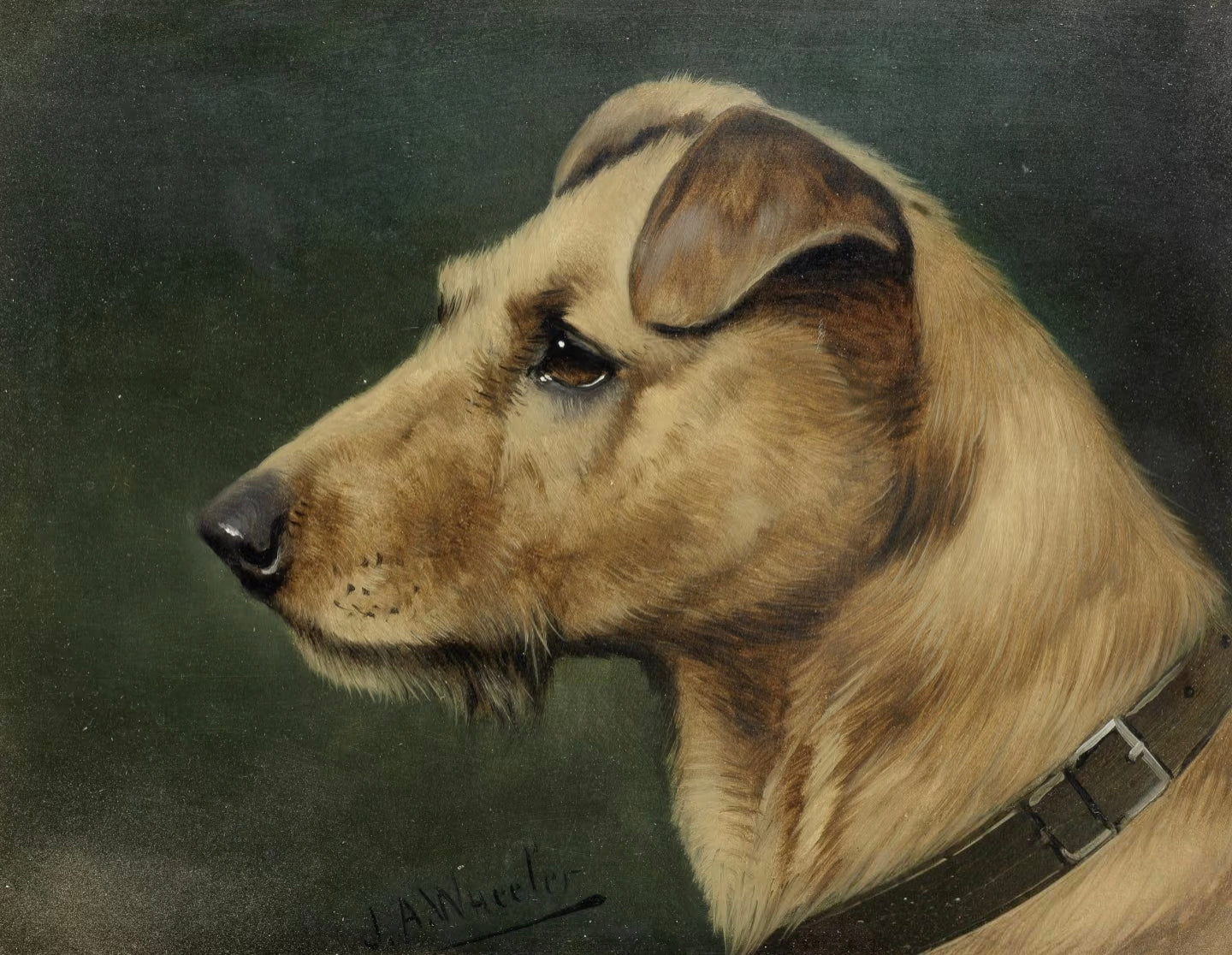 Customize your pet's portrait