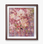 Gypsophila