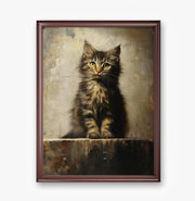Urban Cats