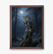 Night Watcher