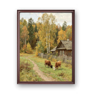 Forest Scenery