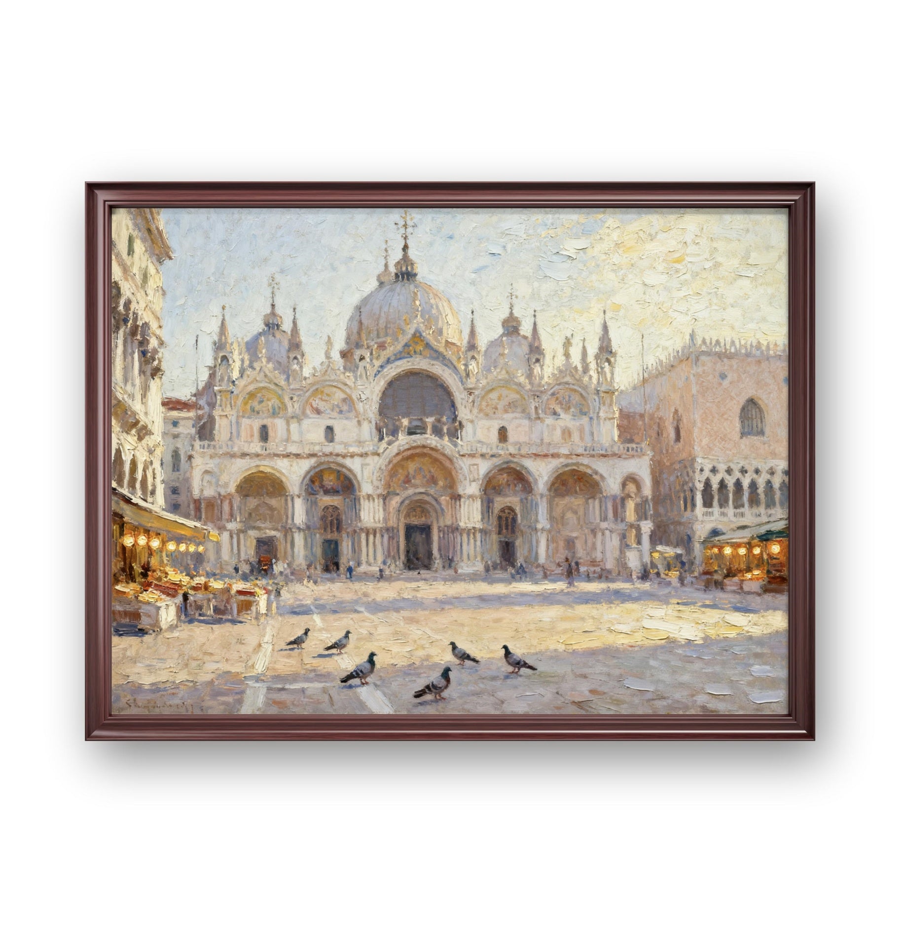 Plaza Pigeons